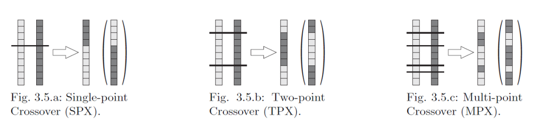 Bináris keresztezés